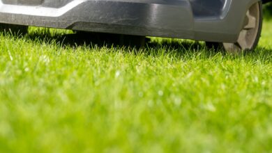 Vorsicht scharfe Messer! Besonders gravierende Mängel zeigten die getesteten Mähroboter bei der Sicherheitsüberprüfung.