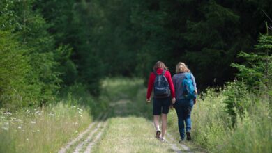 Wanderinnen am Grünen Band im Harz: Künftig kann auch auf der neuen länderübergreifenden Wanderroute «Grenzerfahrung Grünes Band» das ehemalige Grenzgebiet erkundet werden.