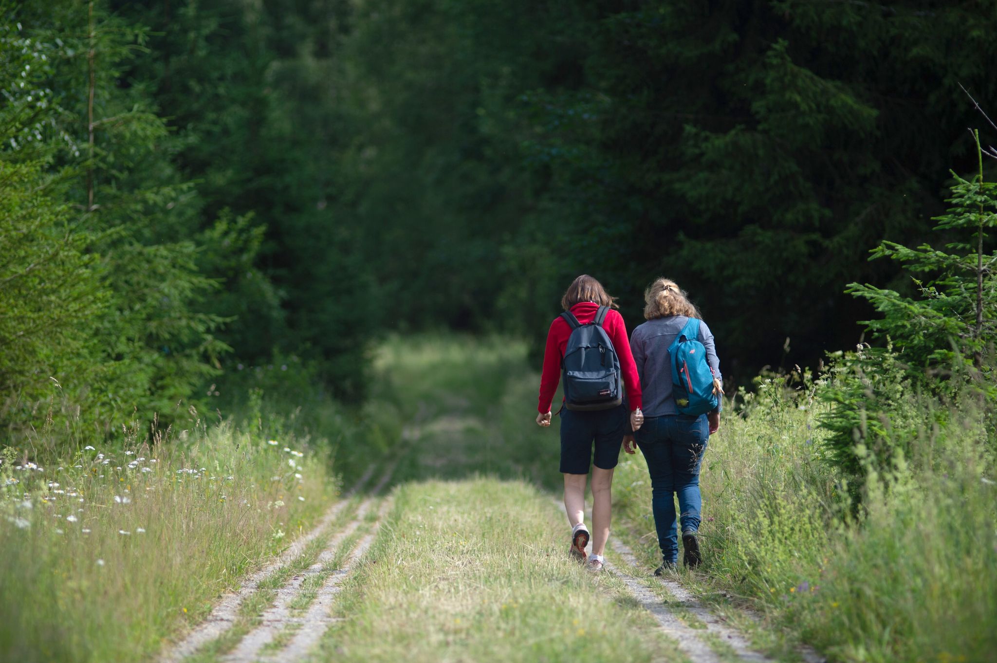 Wanderinnen am Grünen Band im Harz: Künftig kann auch auf der neuen länderübergreifenden Wanderroute «Grenzerfahrung Grünes Band» das ehemalige Grenzgebiet erkundet werden.