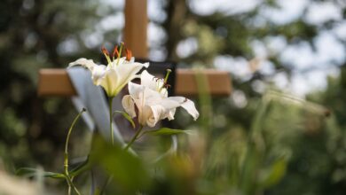 Wer rund um den eigenen Tod Vorsorge treffen möchte, kann dafür einiges tun. Beispielsweise festlegen, wie und wo man begraben werden möchte.