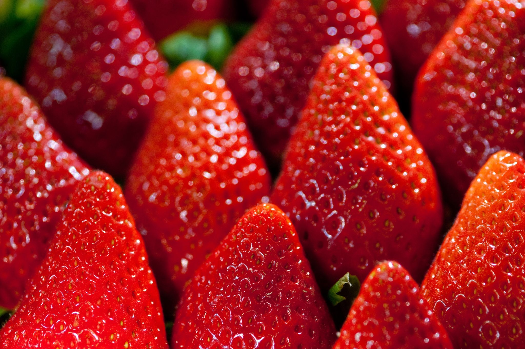 Da Anbau und Transport sehr energieintensiv sind, haben Früh-Erdbeeren eine verheerende Umweltbilanz.