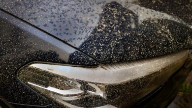 Saharastaub besteht aus feinen Sandkörnern, die auf Lack, Scheiben und Kunststoffoberflächen Kratzer hinterlassen können.