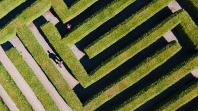 Tägliche Herausforderungen: Jede Entscheidung schließt Alternativen aus. Wenn Entscheidungen im Alltag schwierig werden, spricht man von Entscheidungsparalyse.