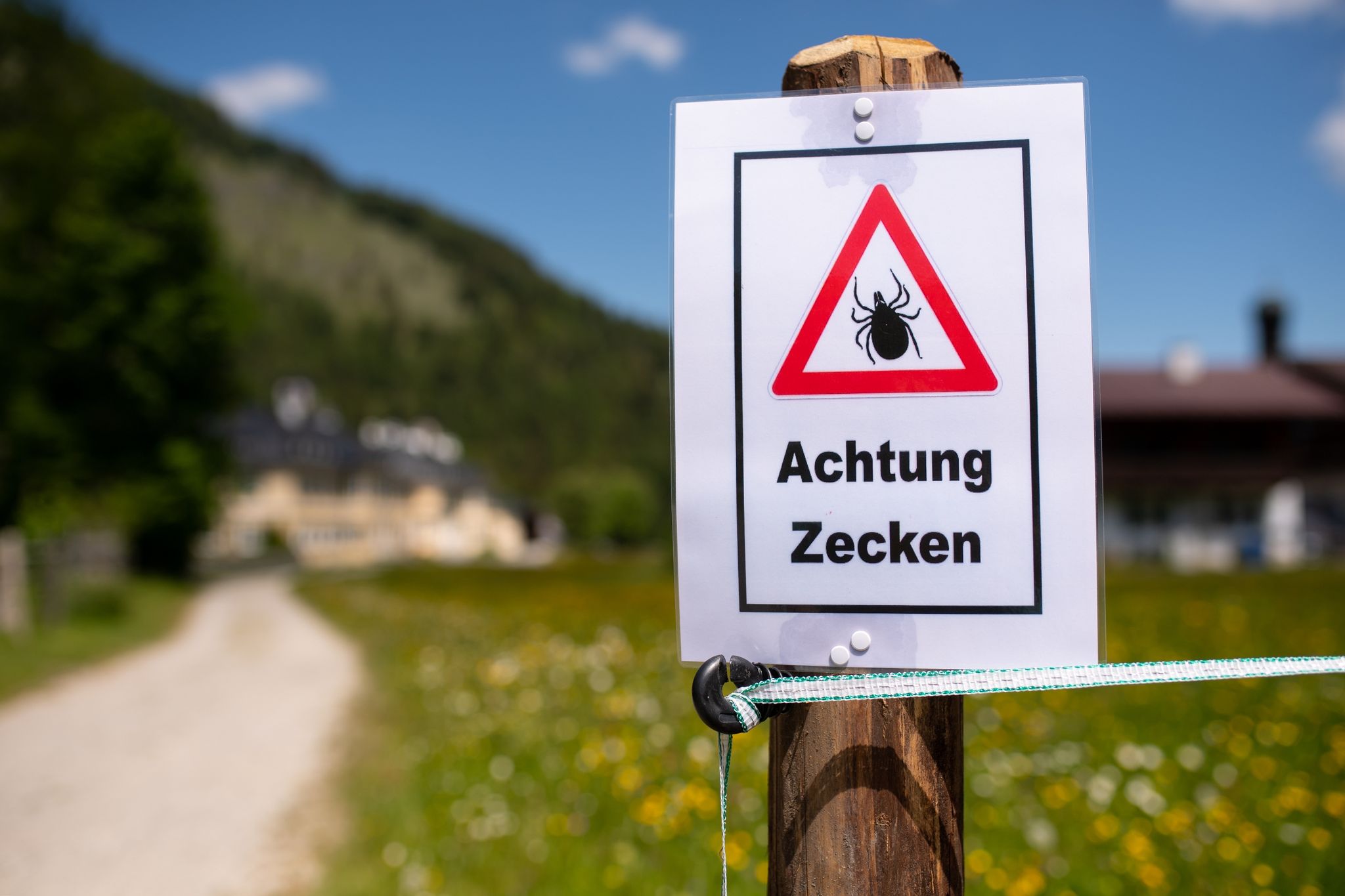 Wer so ein Schild beim Wandern sieht, sollte sich am Abend besonders gut nach Zecken absuchen.