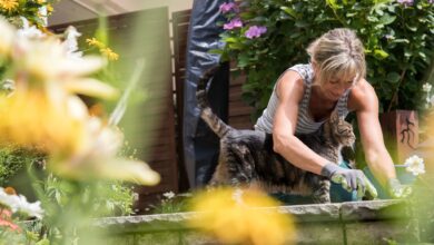 Kampf gegen Grünbelag und Wildwuchs: Mit effektiven Hausumitteln kann die Reinigung von Terrassen und Gartenwegen leicht gelingen.