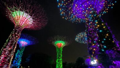 Die Supertrees in den Gardens by the Bay während der abendlichen Lichtshow.