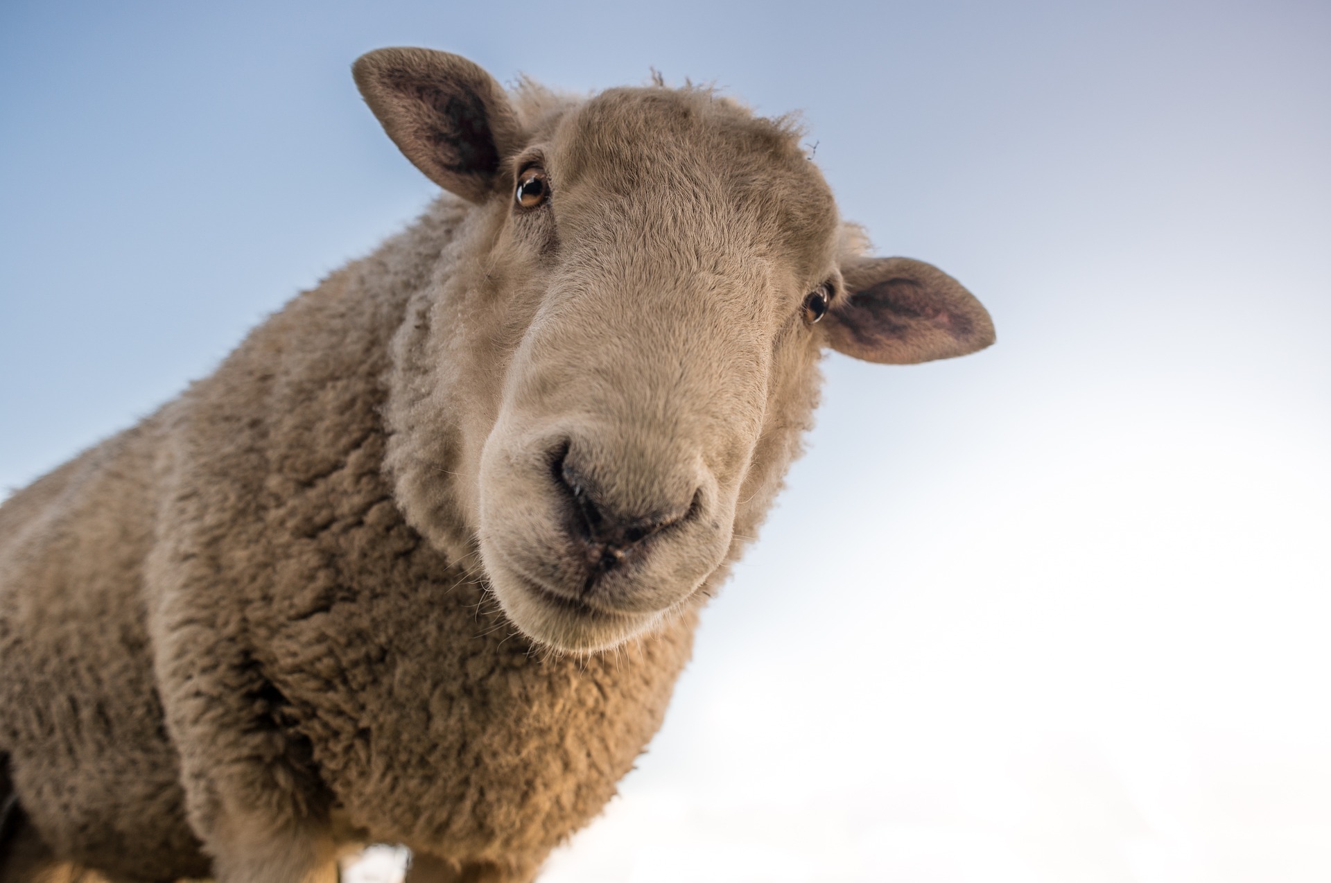 Ein Lieferant für hervorragende Outdoor-Kleidung. Bild: Pixabay/Skitterphoto