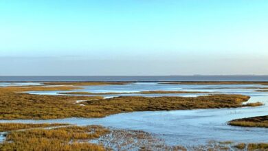 Wangerooge im Winter. Bild: Pixabay/janchrhorn