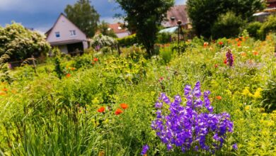 Verlockung Wildblumen: Die Versuchung ist groß, einen kleinen Strauß zu pflücken. Doch es gelten Regeln beim Sammeln von Blumen in der Natur.