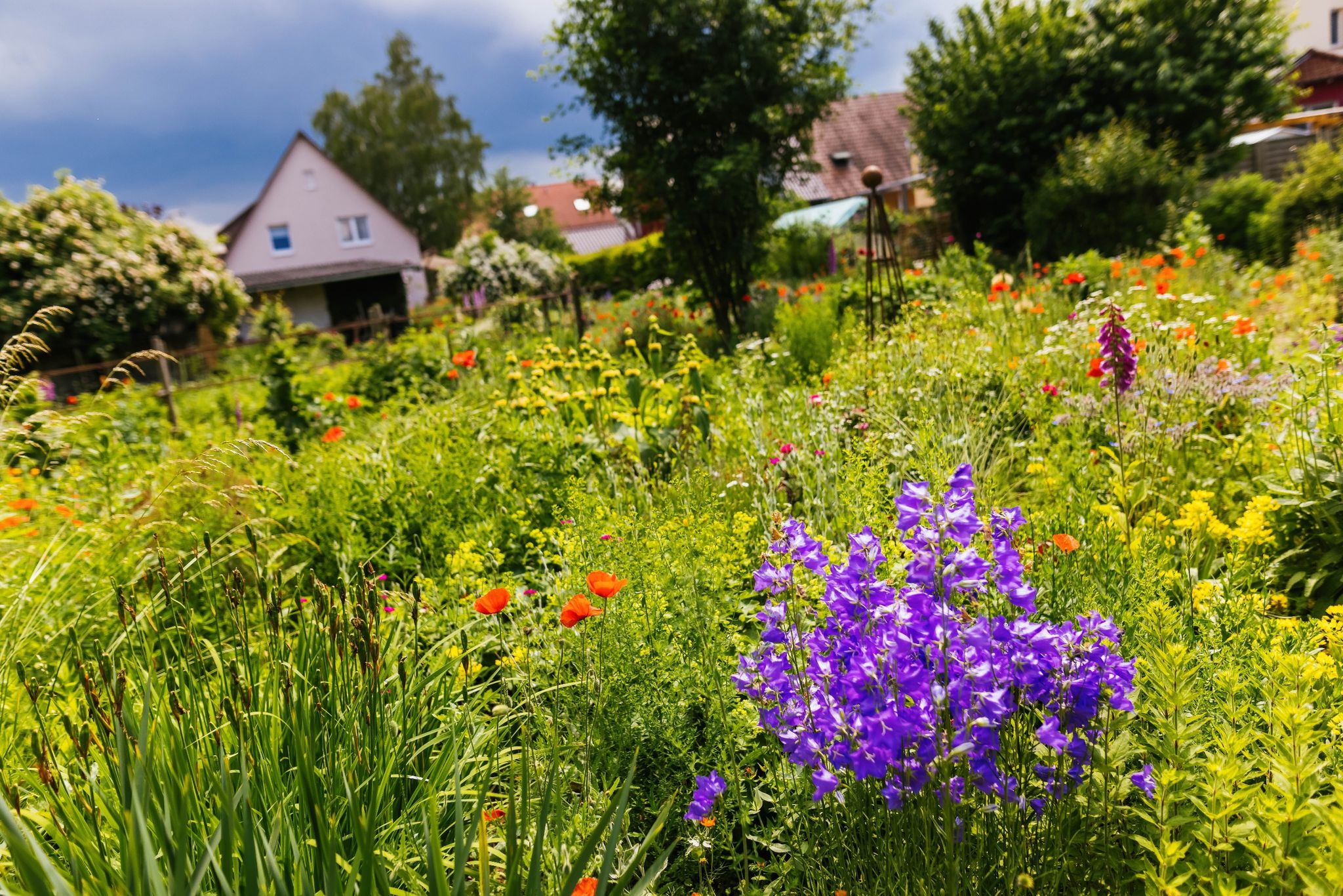 Verlockung Wildblumen: Die Versuchung ist groß, einen kleinen Strauß zu pflücken. Doch es gelten Regeln beim Sammeln von Blumen in der Natur.