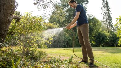 Wichtiger als die Häufigkeit ist beim Wässern die Menge. Wird der Boden einmal durchdringend gewässert, kann das Wasser auch in tiefere Bodenschichten dringen.