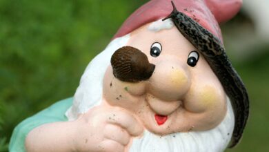 Sind meist keine beliebten Gartenbesucher: Nacktschnecken.