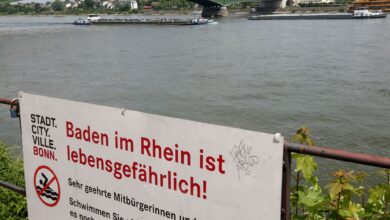 Mit einem Hinweisschild «Baden im Rhein ist lebensgefährlich» warnt die Stadt Bonn die Menschen vor den Gefahren beim Schwimmen im Rhein.