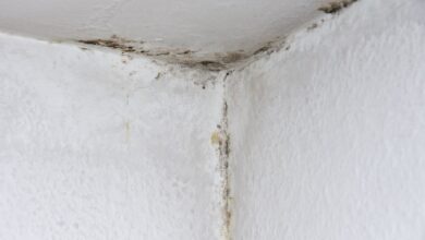 Schimmel in der Wohnung? Nicht immer muss das an falschem Lüften liegen.