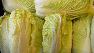 Chinakohl schmeckt mild und wird von vielen besser vertragen als andere Kohlsorten.