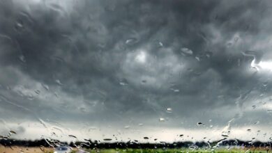 Stürmische Zeiten: Bei starkem Wind und Regen sollten Autofahrer ihr Tempo drosseln.