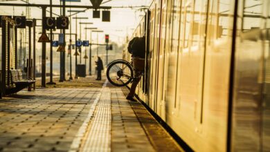 Bei der Fahrradmitnahme gibt es je nach Bundesland und Verkehrsgesellschaft 
unterschiedliche Regelungen.