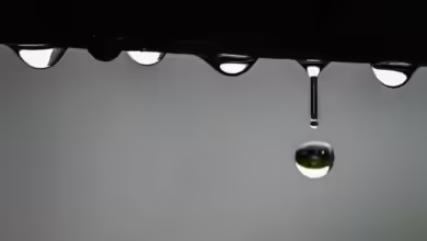 Bei Wasserschäden kann es sinnvoll sein, Proben zu entnehmen, um den Ursprung des Malheurs besser aufklären zu können.