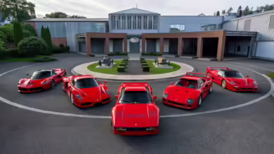 Wie ein Kind im Bonbonladen: Welchen von diesen legendären Top-Ferrari würden Sie fahren wollen - vielleicht den 288 GTO (Mitte) oder lieber den F40 (rechts davon)?