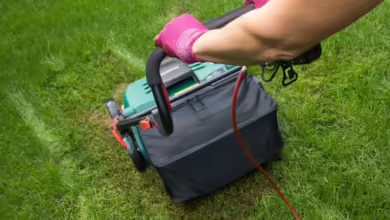 Vertikutieren - das bedeutet, dem Rasen einen Sauerstoff-Boost zu geben.