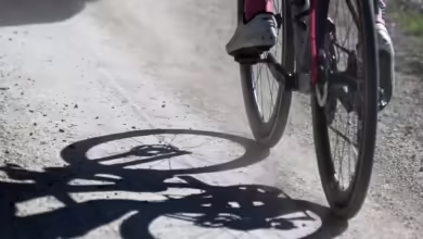 Rennradler sind oft etwas schneller unterwegs - umso wichtiger ist ein ständiger Blick aufs Verkehrsgeschehen.