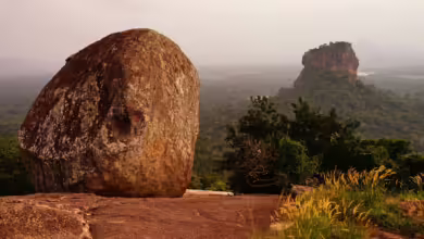 Reisende nach Sri Lanka müssen derzeit ihr Visum vor Ort am Flughafen beantragen, da die E-Visum-Website nach einem Gerichtsbeschluss im August deaktiviert wurde.