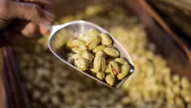 Lecker und gesund: Pistazien enthalten reichlich wertvolle ungesättigte Fettsäuren, Vitamin E, B-Vitamine und Mineralstoffe wie Kalium und Magnesium.