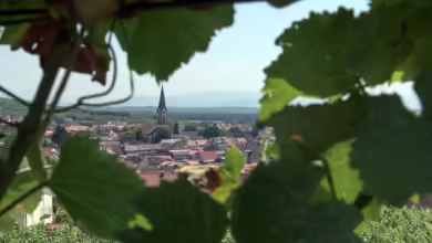 Ist geprägt von Wein und dessen Anbau: Ihringen am Kaiserstuhl.