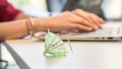 Gerechtfertigte Anordnung: Arbeitgeber können bei dringenden betrieblichen Gründen, wie wichtigen Aufträgen oder Krisensituationen, eine Urlaubssperre verhängen.