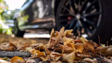Herbstlaub Liegt Am Strassenrand Neben Einem Parkenden Auto