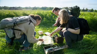 Wandern Und Rätseln In Nordhessen