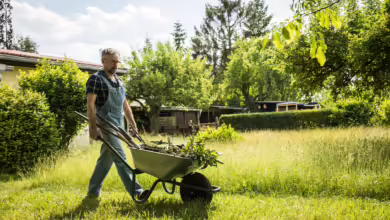 Gartenarbeit