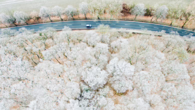 Auto Fährt über Eine Landstraße