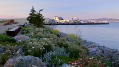 Der Neue Bayfront Park In San Francisco