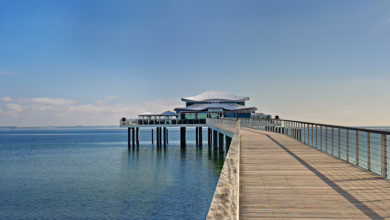 Der Strand von Timmendorf bietet nicht nur feinen Sand und klares Wasser, sondern auch zahlreiche Strandkörbe, die zum Relaxen einladen. Bild: Pixabay/AchimF