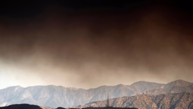 Waldbrände In Kalifornien