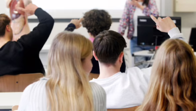 Schüler Melden Sich Im Unterricht