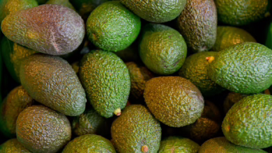 Avocados Liegen In Einer Kiste