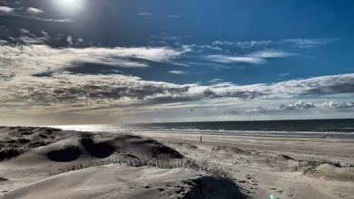 Der Strand in Sint Martenszee in Holland. Bild: Strand49.de