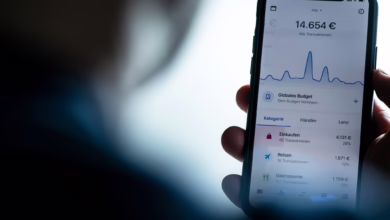 Banking App Zeigt Die Ausgaben Für Verschiedene Aktivitäten An