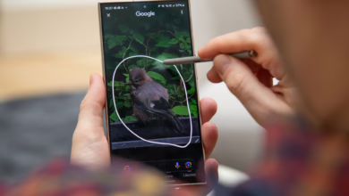 Funktion «circle To Search» Auf Einem Samsung S24 Ultra