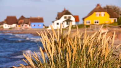 Häuser Sind In Heiligenhafen Hinter Strandhafer Zu Sehen