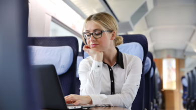 Frau Arbeitet Im Ice An Ihrem Laptop