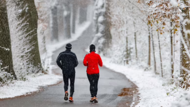 Schneefall In Schleswig Holstein