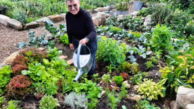 Antje Krüger Steht In Einem Kraterbeet