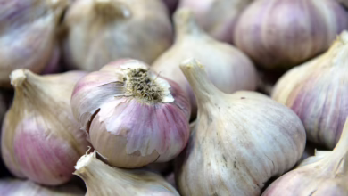 Knoblauchknollen