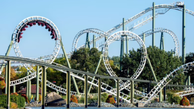Besucher Fahren Mit Der Achterbahn «big Loop» Im Heide Park