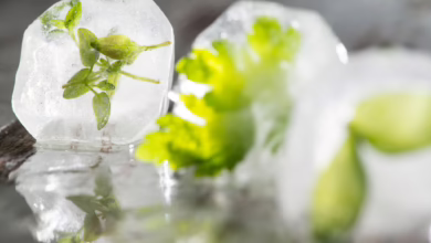 In Eiswürfeln Gefrorene Kräuter