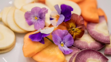 Hornveilchen Liegen Auf Gemüsescheiben