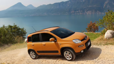 Fiat Panda Trekking Von 2012